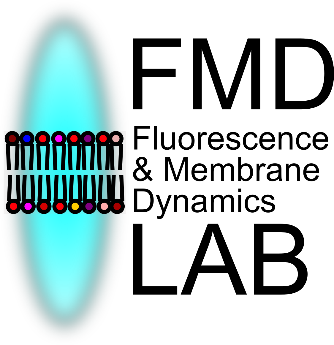 FMD Lab in August 2025